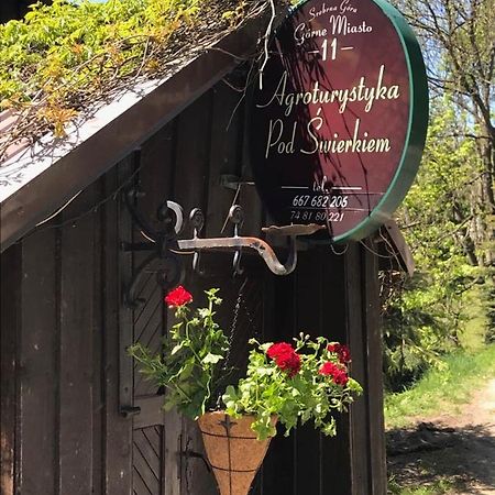 Agroturystyka Pod Swierkiem Srebrna Góra 외부 사진