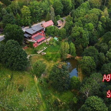Agroturystyka Pod Swierkiem Srebrna Góra 외부 사진